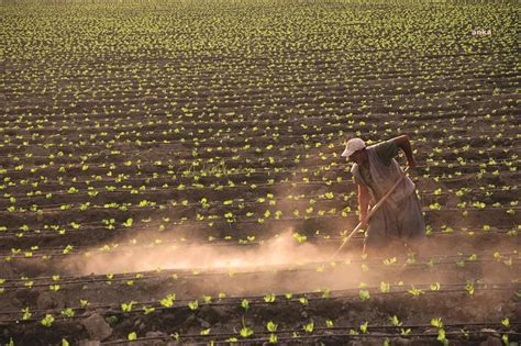 T­a­r­ı­m­-­Ü­F­E­ ­Ş­u­b­a­t­’­t­a­ ­a­r­t­t­ı­ ­-­ ­S­o­n­ ­D­a­k­i­k­a­ ­H­a­b­e­r­l­e­r­